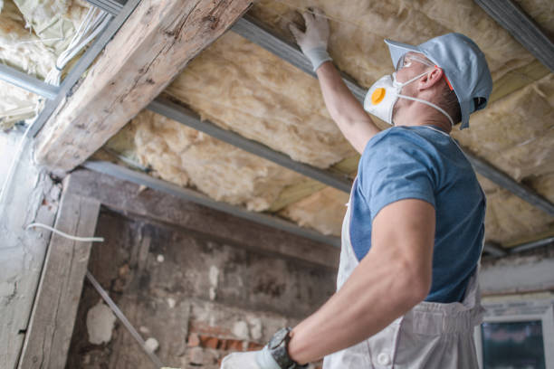 Best Insulation Contractors for Homes  in Park View, IA