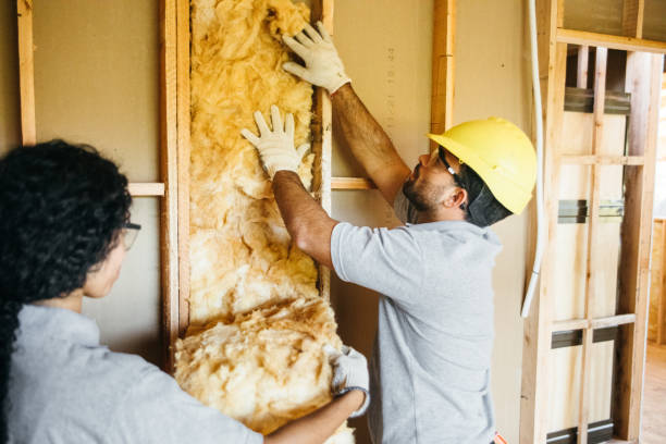 Best Insulation Repair Services  in Park View, IA