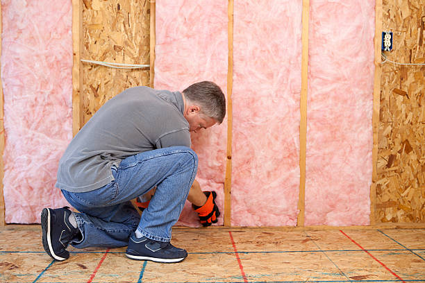 Best Wall Insulation Contractor  in Park View, IA